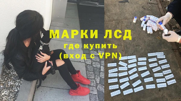 винт Армянск