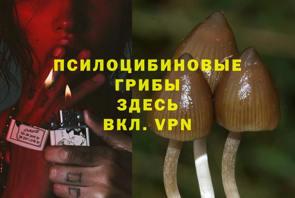 ПСИЛОЦИБИНОВЫЕ ГРИБЫ Балахна